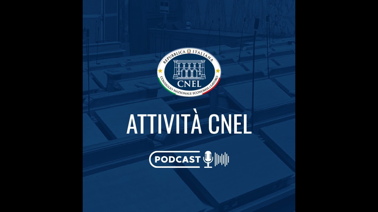 Assemblea CNEL del 26 febbraio 2026