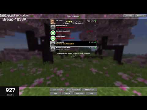 Minecraft stream Port 50176
