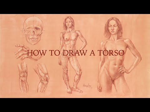 Video: How To Draw A Torso