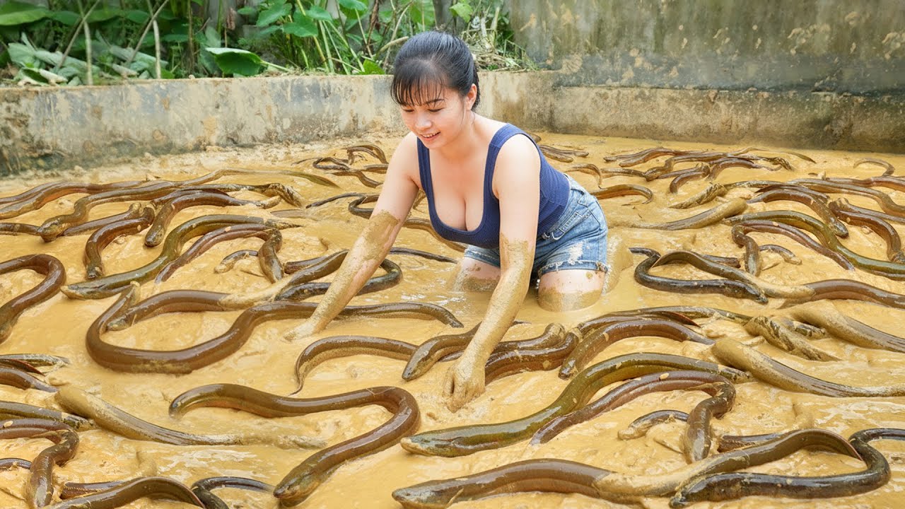 TIMELAPSE --266 Days Catching A Lot Of Eels, Snails, Mussels Go To Country Market Sell