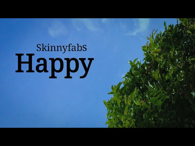 Skinnyfabs - Happy (Lirik) class=