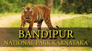 Bandipur Tiger Reserve And National Park, Karnataka, India | indian Travel Video in Hindi