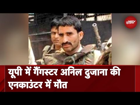 UP STF ने Gangster Anil Dujana को Encounter में मारा गिराया, एक हफ्ते पहले ही Jail से रिहा हुआ था
