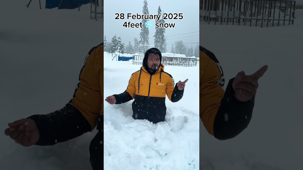 28 February 2025 4 feet snow solangvalley manali live snowfall 