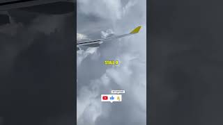 The small wing FLAP that dropped a plane from the sky