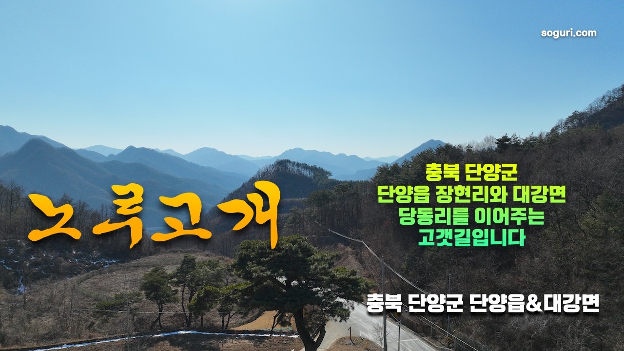 충북 단양군 단양읍 장현리 노루고개 겨울풍경 - 20260129