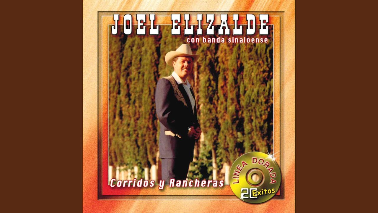 Παρακολούθηση Gavilan Comodin στο YouTube Παρακολούθηση Gavilan Comodin στο YouTube