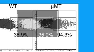 4Cf05Ae7A698B1D1F877083E16Db4B