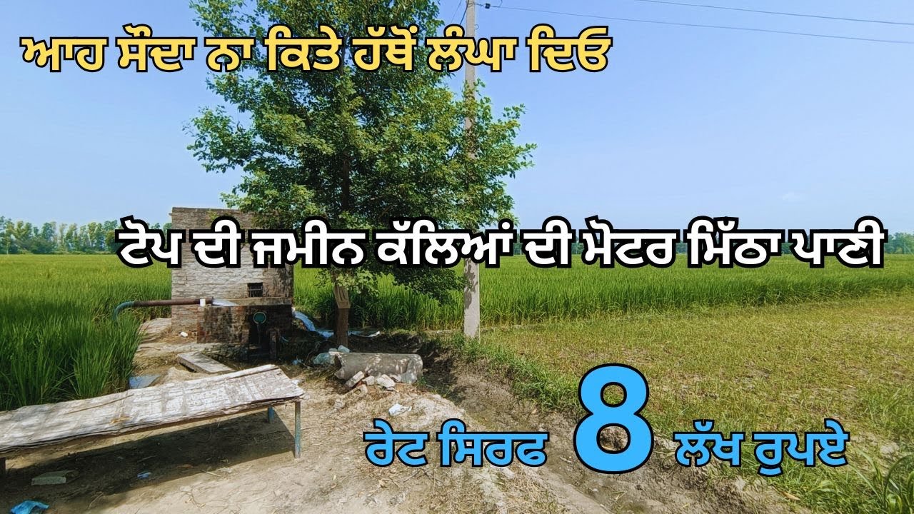 ਰੇਟ ਸਿਰਫ 8 ਲੱਖ ਰੁਪਏ ਟੋਪ ਦੀ ਜਮੀਨ ਕੱਲਿਆਂ ਦੀ ਮੋਟਰ ਮਿੱਠਾ ਪਾਣੀ ਆਹ ਸੌਦਾ ਨਾ ਕਿਤੇ ਹੱਥੋਂ ਲੰਘਾ ਦਿਓ 😲