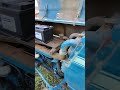 ford 2000 diesel Tractor