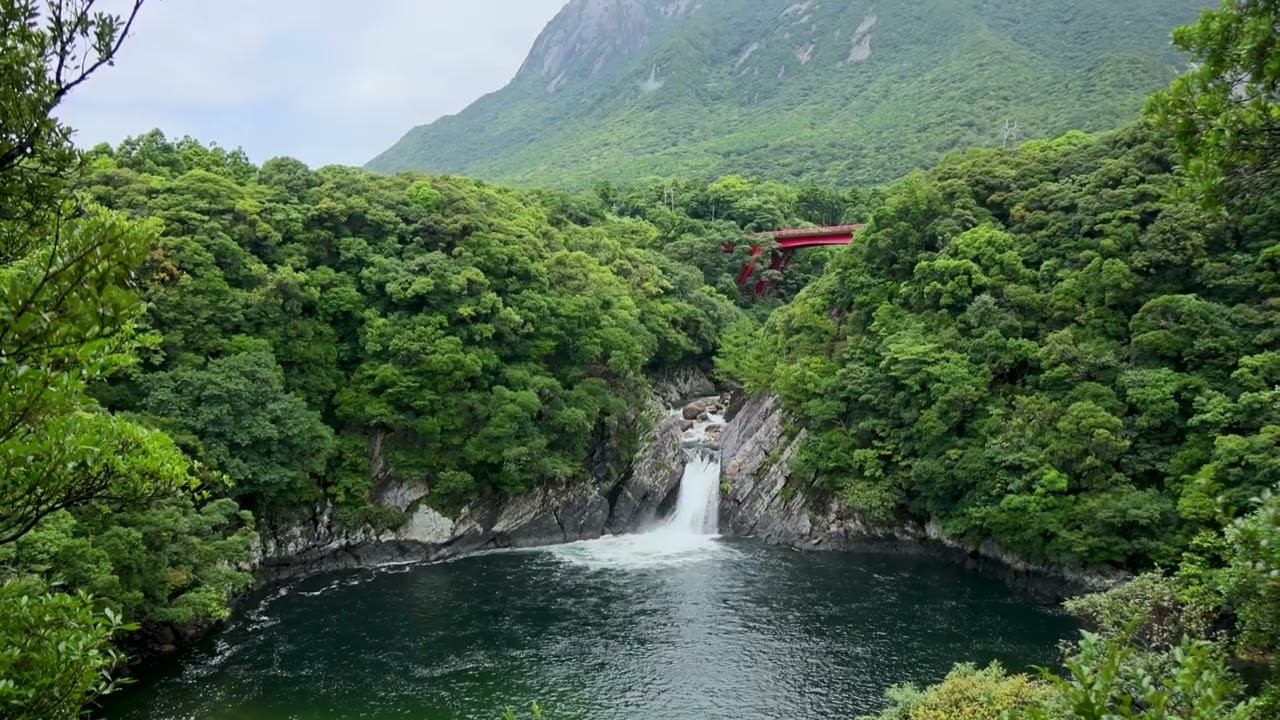 屋久島