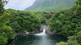 屋久島 世界自然遺産 トートバッグ 屋久島