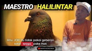 Part 1 Friendship Headquarters MAESTRO HALILINTAR Mas OBEH Origin PEKALONGAN