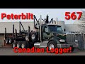 Frosty morning walk around of a new Peterbilt 567 QUAD LOGGER!