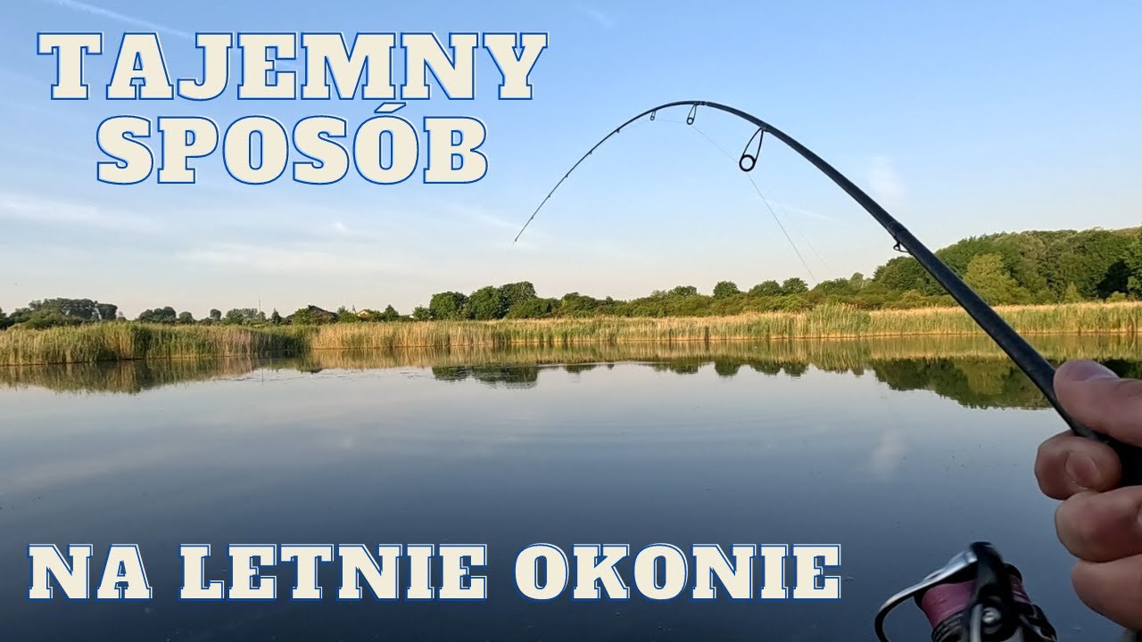 | OKONIE w CZERWCU | ULTRALIGHT i JASKÓŁKA z POWIERZCHNI | Odc. 31