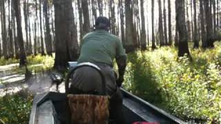 Go Devil gets up through the Maurepas swamp