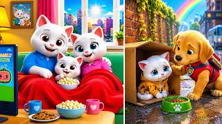 One Small Mistake… That Changed Everything 💔😭 (Cat Story)