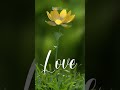 But The Greatest Of These Is Love 1 Corinthians 13 13 Shorts mp3