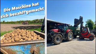 Trotz des warmen Wetters… doch noch zu nass | 🥔pflanzen und Kalk streuen | Farmvlog #115