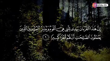 حالات واتس اب//قرآن كريم القارئ انس براق