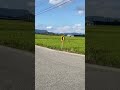 Ricefield ស្រូវល្អណាស់#nature #fresh #travel #mountain