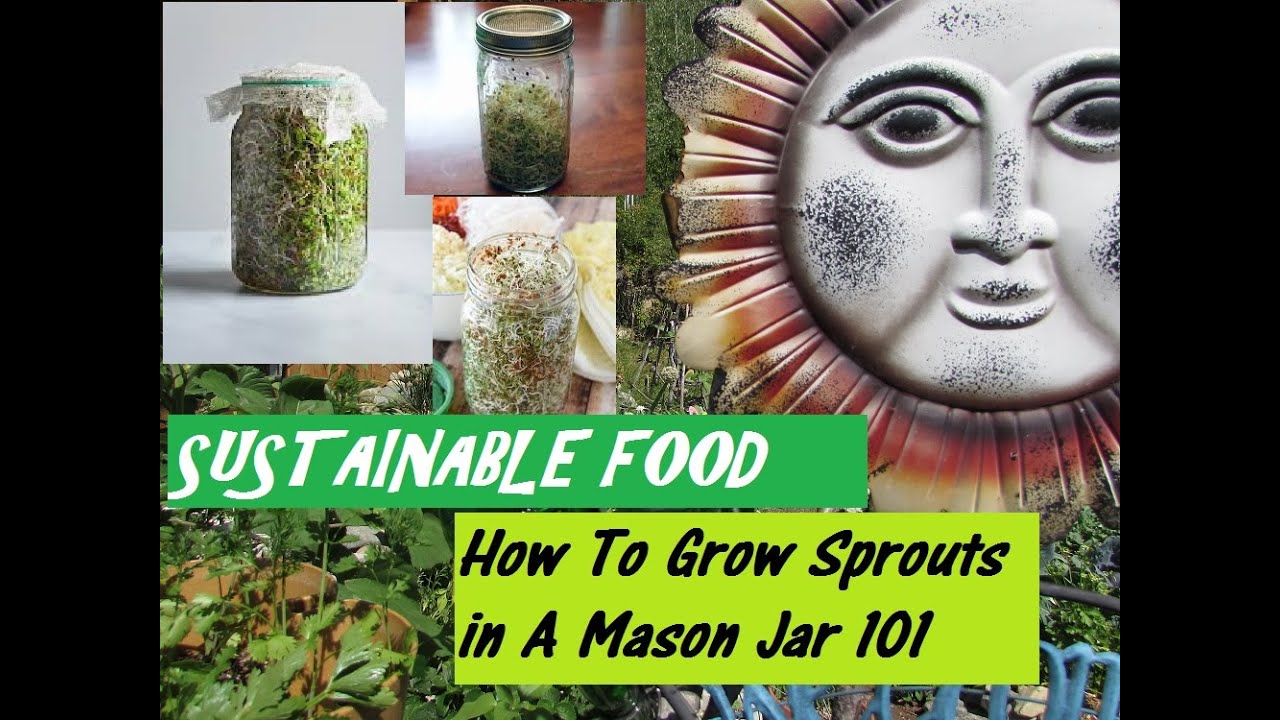 Sustainable Food For Your Pantry - YouTube