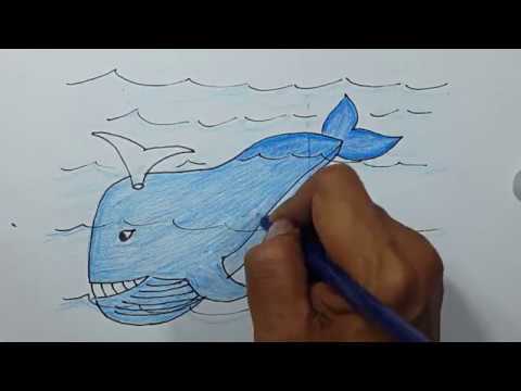  Gambar  Ikan  3d Pensil 