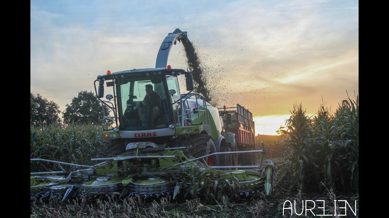 Maïshackseln 2017 Shredlage | 100% Fendt - Lair & Schuitemaker | SARL Dubois