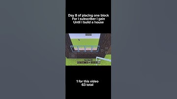 Day 8 of placing one block for every subscriber I gain until I build a house