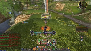 lotro yellow champion dps rotation