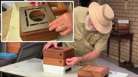 A DESCRIPTION OF THE Ausinpa BOX v3  FOR TETRAGONULA, AND OTHER STINGLESS BEES