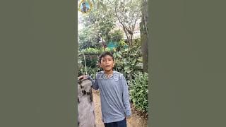 #85 Anak e Wong Edan 😁 || Vaadhara Khan || Daizee Channel