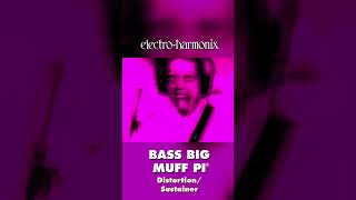 EHX Bass Big Muff Pi Pedal Demo by Jack Conte