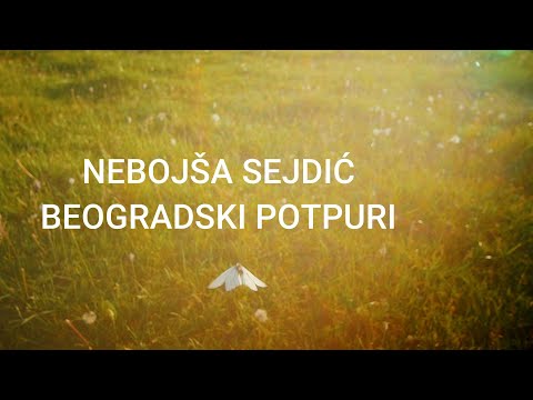 Nebojša Sejdić - Beogradski potpuri / Belgrade's potpourri (Official video)
