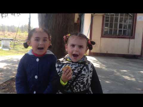 ანანო და ნანო