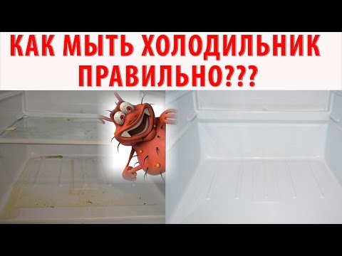 КАК ПОМЫТЬ ХОЛОДИЛЬНИК ИДЕАЛЬНО?! Генеральная уборка холодильника. Убираем плесень, грязь.