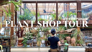 植物のテーマパークを巡る｜おすすめ観葉植物専門店5店舗