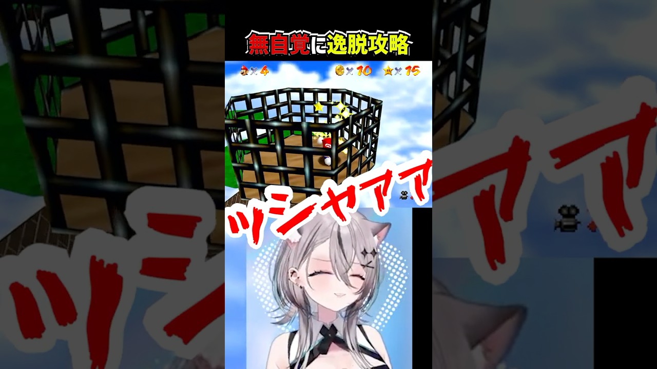 【スーパーマリオ64/配信切り抜き】これが正攻法だと思っていました