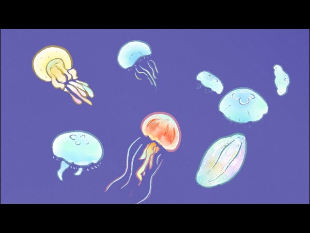 週末おさかな部】おえかきテーマ「クラゲ特集」🎨🦈vol.79 - YouTube