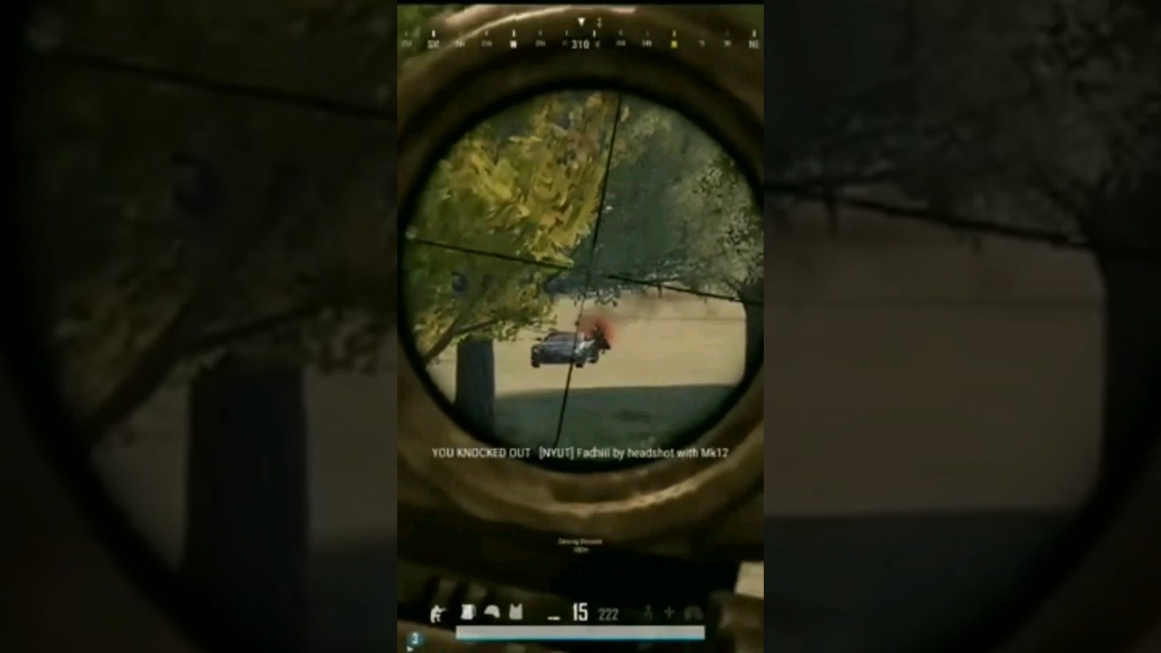 clips Pubg pc 