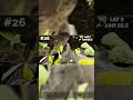 Ark ASA The Center rathole #26 #arksurvivalascended #rathole #shorts