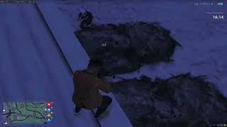 NovaRP.lt | 7k hour hit different
