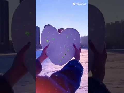 ٨ شباط، ٢٠٢٤