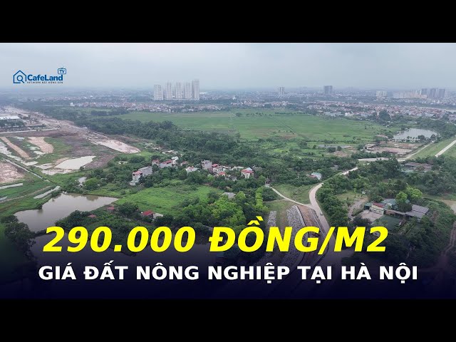 Vì sao Hà Nội giữ GIÁ ĐẤT NÔNG NGHIỆP cao nhất là 290.000 đồng/m2?