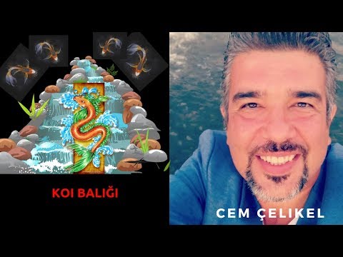 Video: Kedi Kabızlık için Kabak