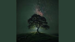 Reflections of the Soul