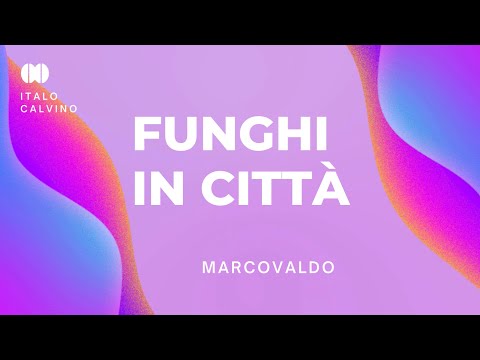 'Funghi in città'