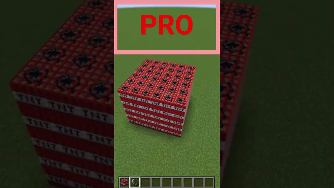Types Of TNT Explosions- NOOB vs PRO #minecraft #shorts