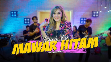 MAWAR HITAM - Dara Fu | TIPE-X versi Dangdut Koplo (Official Music Video)