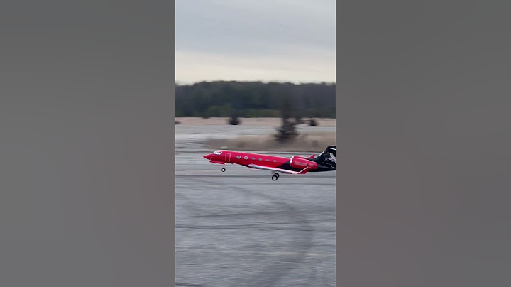 First time landing custom RC Private Jet 🛬